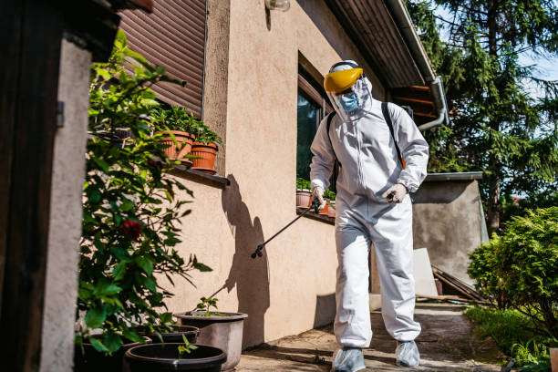 Best Wasp Removal Services  in St Peter, MN